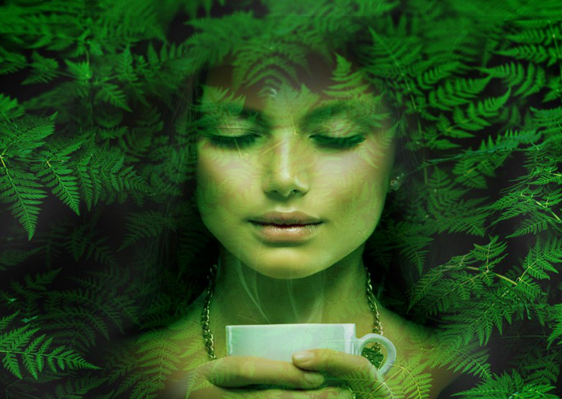 Prodotti Compostabili ecologici